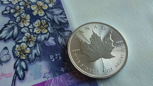 Canada Disability Benefit 2025