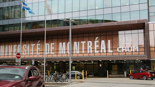 How to check the STM strike schedule and transit disruptions