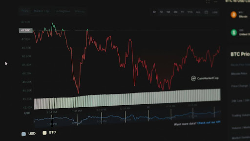 XEQT risk and return analysis for Canadian investors