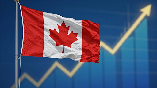 Risk Factors to Consider Before Investing 